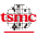 Tsmc Icon from SVG Logos Set
