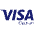 Visaelectron Icon from SVG Logos Set