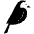 Wagtail Icon from SVG Logos Set