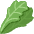 Leafy Green Emoji from Twemoji Set