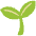 Seedling Emoji from Noto Emoji Set