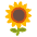 Sunflower Emoji from Noto Emoji Set