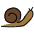 Snail Emoji from OpenMoji Emoji Set