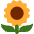 Sunflower Emoji from Twemoji Set