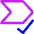 Tag Label Check Select Shevron Icon from Core Neon Set