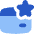 Credit Card Reward Star Favorite Icon from Flex Flat Set