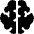 Brain Neurology Icon from Ultimate Bold Set