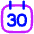 Date 31 Calendar Icon from Flex Neon Set