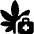 Cannabis Medicine 3 Icon from Ultimate Bold Set | Free Download as SVG Vector and Transparent PNG | Streamline icons