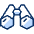 Binocular 1 icon - Free transparent PNG, SVG. No sign up needed.