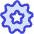 Badge Award Star Icon from Flex Duo Set