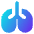 Lungs Icon from Core Gradient Set