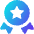Star Badge Icon from Core Gradient Set