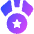 Star Medal 1 Icon from Core Gradient Set