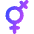 Gender Lesbian 2 Icon from Core Gradient Set