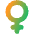 Woman Symbol Icon from Core Gradient Set