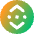 Binance Circle Icon from Core Gradient Set