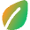 Leaf Icon from Core Gradient Set