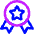 Star Badge Icon from Core Neon - Free Set