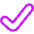 Check Thick Icon from Core Neon Set