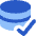 Database Check Icon from Core Flat Set