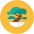 Bonsai icon - Free transparent PNG, SVG. No sign up needed.