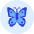 Butterfly Icon from Kameleon Duo - Free Set