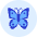 Butterfly icon - Free transparent PNG, SVG. No sign up needed.