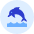Dolphin icon - Free transparent PNG, SVG. No sign up needed.