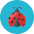 Ladybug icon - Free transparent PNG, SVG. No sign up needed.