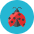 Ladybug Icon from Kameleon Colors - Free Set