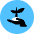 Sprout Icon from Kameleon Pop - Free Set