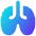 Lungs Icon from Flex Gradient Set
