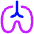 Lungs Icon from Flex Neon Set