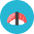 Sushi icon - Free transparent PNG, SVG. No sign up needed.