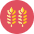 Wheat icon - Free transparent PNG, SVG. No sign up needed.
