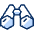 Binocular 1 Icon from Cyber Duotone - Free Set