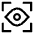 Iris Scan icon - Free transparent PNG, SVG. No sign up needed.