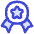 Star Badge icon - Free transparent PNG, SVG. No sign up needed.
