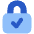 Lock Encryption Check Active Icon from Plump Flat Set
