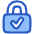 Lock Encryption Check Active Icon from Plump Duo Set