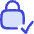 Lock Encryption Check Active Icon from Flex Duo Set