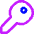 House Key Access Icon from Flex Neon Set