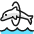 Marine Mammal Dolphin Jump Icon from Ultimate Colors Set