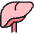 Medical Specialty Liver Icon from Ultimate Colors Set