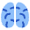 Brain Icon from Plump Flat Set | Free Download as SVG Vector and Transparent PNG | Streamline icons