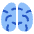 Brain icon - Free transparent PNG, SVG. No sign up needed.