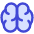 Brain icon - Free transparent PNG, SVG. No sign up needed.