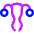 Gynecology Vagina Uterus Icon from Core Neon Set