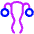 Gynecology Vagina Uterus Icon from Plump Neon Set